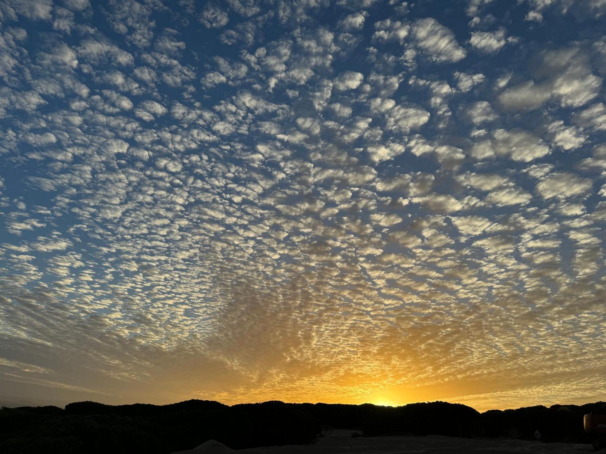 Appartement Atico Sonnenschein à Jerez de la Frontera Extérieur photo