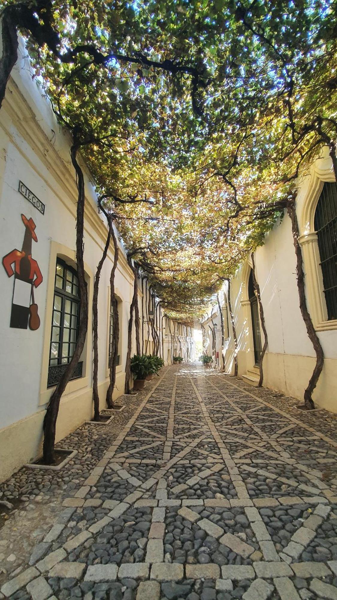 Appartement Atico Sonnenschein à Jerez de la Frontera Extérieur photo